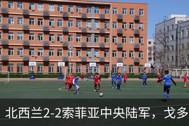 北西兰2-2索菲亚中央陆军，戈多伊先拔头筹，戈多伊救主