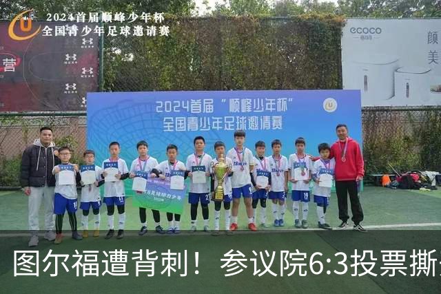 图尔福遭背刺！参议院6:3投票撕开菲政坛假象！