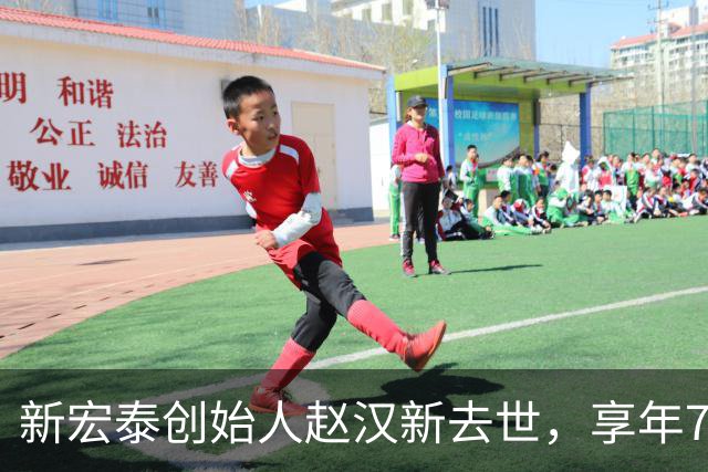 新宏泰创始人赵汉新去世，享年73岁