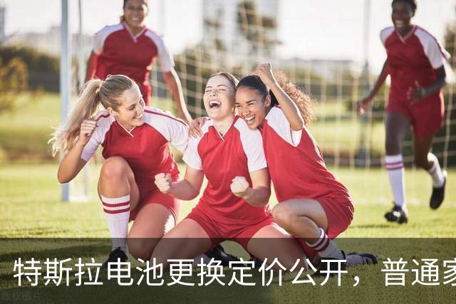 特斯拉电池更换定价公开，普通家庭用车成本一次性算清！