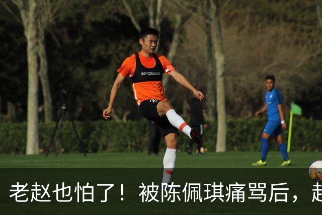 老赵也怕了！被陈佩琪痛骂后，赵少康半夜被逼发文道歉，媒体人爆内幕