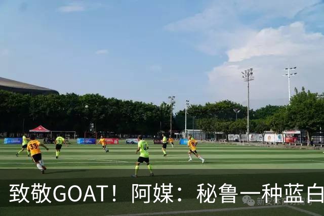 致敬GOAT！阿媒：秘鲁一种蓝白色小花被命名梅西鼠尾草