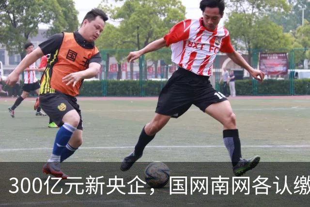 300亿元新央企，国网/南网各认缴37.5亿元