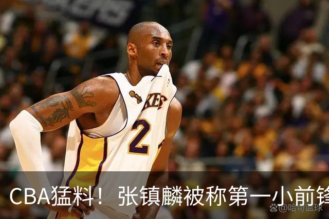 CBA猛料！张镇麟被称第一小前锋，麦基比赛态度变好，拉塞尔伤病出炉